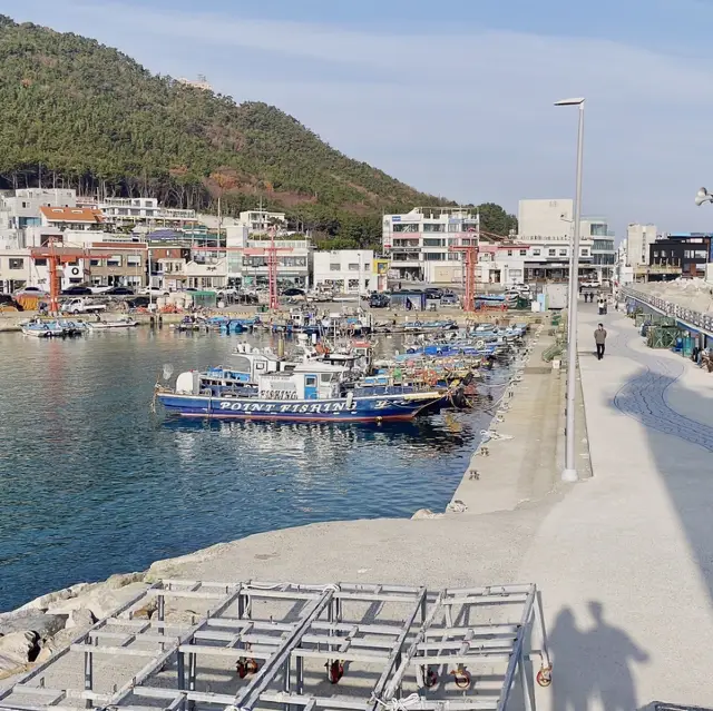 Busan Winter 4-Day Trip