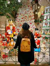 🇩🇪Magical Christmas in Heidelberg🇩🇪❤️
