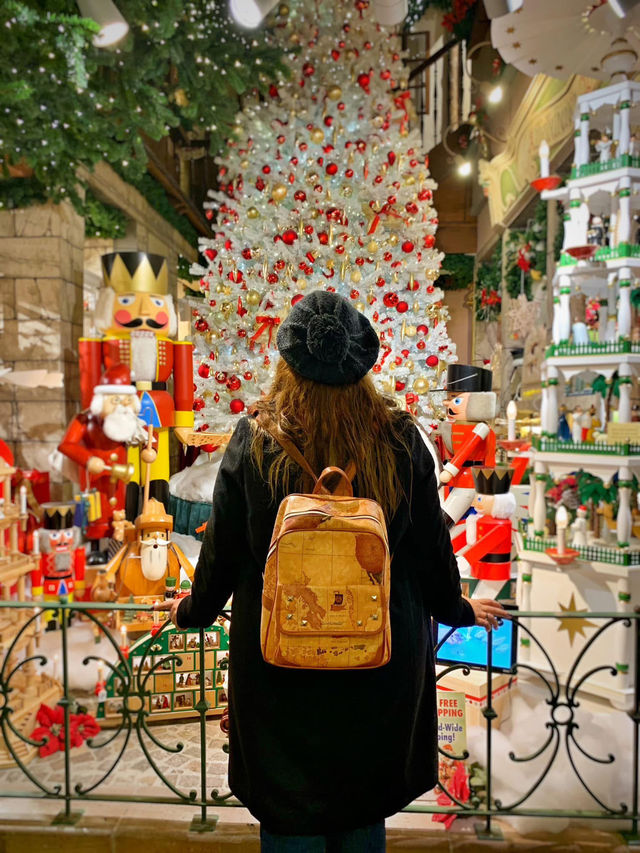 🇩🇪Magical Christmas in Heidelberg🇩🇪❤️