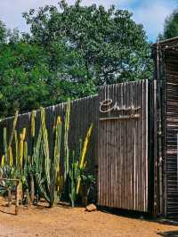 CHAN nature cafe' 