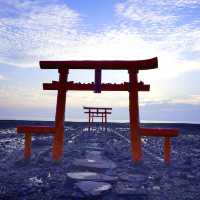【佐賀県】沖ノ島へつながるパワースポット！「海中鳥居」