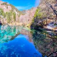 JiuZhaiGou November