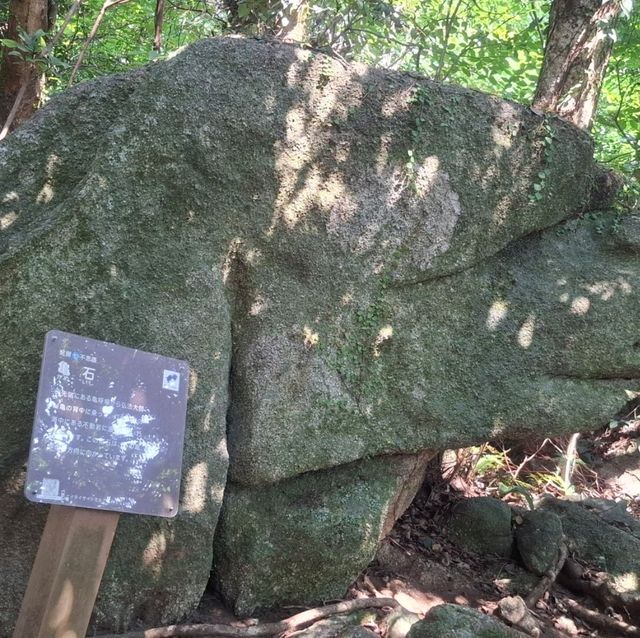 四國南端最美的足摺岬