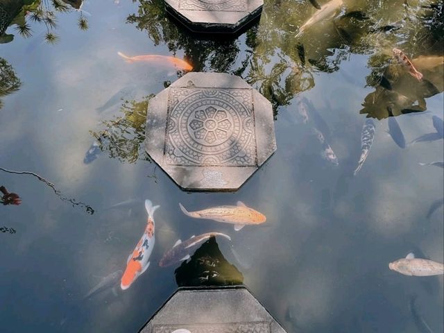 Serene Exploration at Tirta Gangga Water Palace