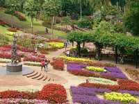 ชมดอกไม้สวยๆ @สวนแม่ฟ้าหลวง