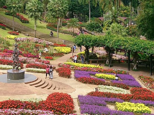 ชมดอกไม้สวยๆ @สวนแม่ฟ้าหลวง