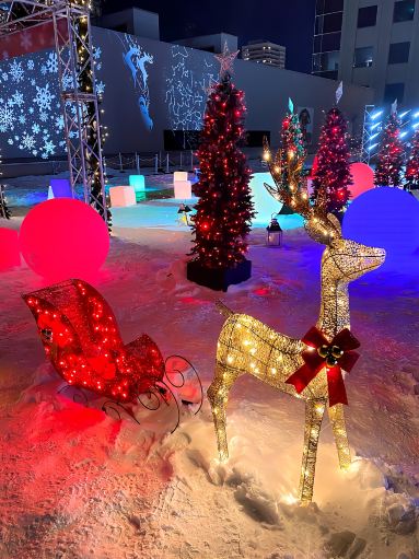 冬の札幌そらのひろばステラ9のクリスマス2024 | Trip.com 札幌