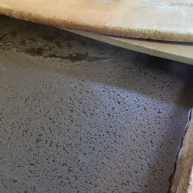 【酸欠注意】長湯温泉の秘湯？