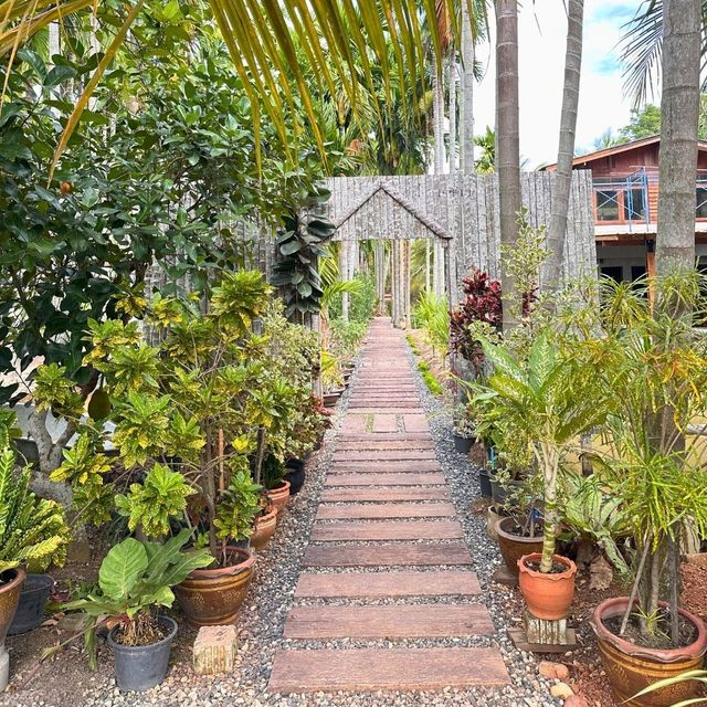 🌳 ฌาณหมาก Coffee & Farm