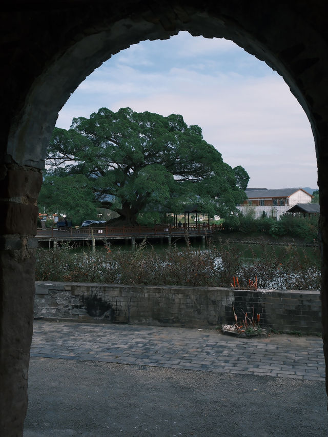 🇨🇳 Jiangxi Unveiled: A Journey Through Hidden Gems and Timeless Beauty