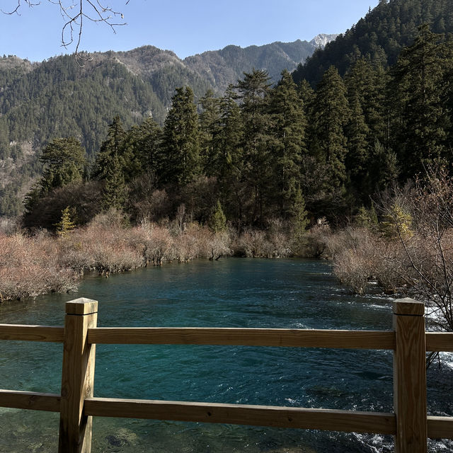 My trip to Chengdu 