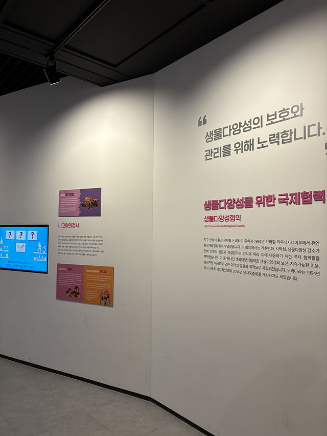 나무냄새 맞으며 겨울에 힐링하는 여행😍