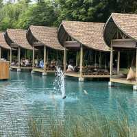 Bubble Forest: Discover Thailand’s Serene Escape