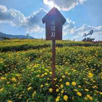 Isn't Korea BUT Chiang Mai Thailand!