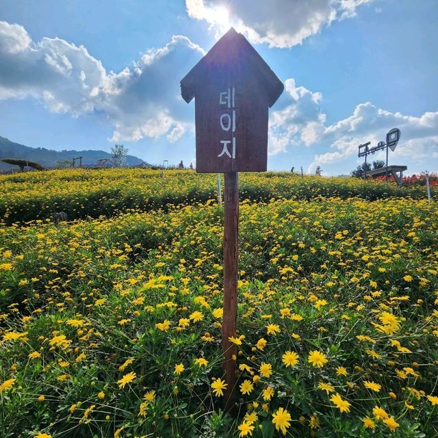 Isn't Korea BUT Chiang Mai Thailand!
