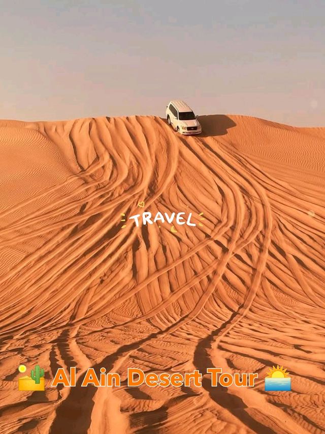 🏜️ Discover Tranquility: Al Ain Desert Tour 🌅