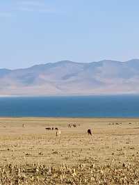 🛖 Experience Nomadic Life hiking by Song-Kul Lake