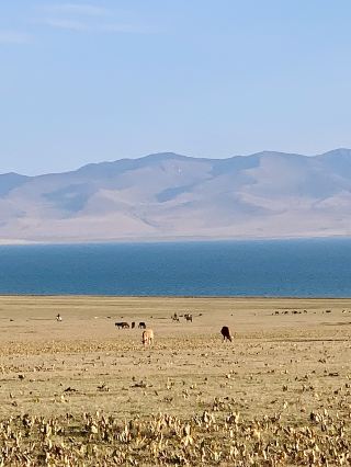 🛖 Experience Nomadic Life hiking by Song-Kul Lake