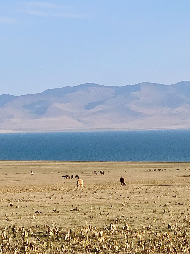 🛖 Experience Nomadic Life hiking by Song-Kul Lake