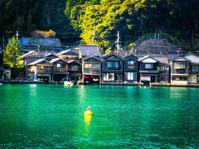 【京都】日本のヴェネツィア🚣伊根の舟屋