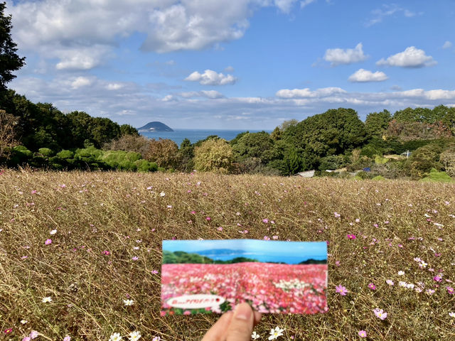 能古島海島公園 @ 能古島 @ 福岡