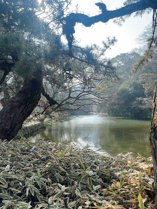따뜻한 다카마쓰 3박4일 여행~🤠