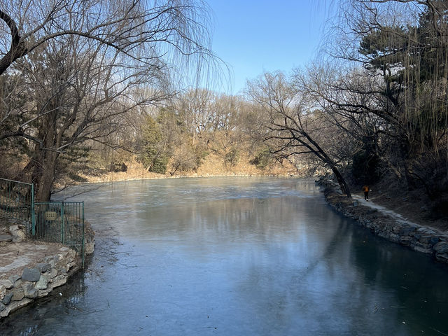 Winter Wonders at the Summer Palace: A Perfect Family Getaway in Beijing