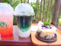 cedar ป่าสนคาเฟ่ @ เขาค้อ