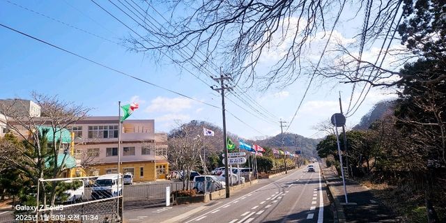 대마도. 나혼자 여행. 트레킹
