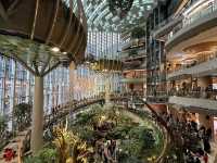 Botanical garden inside The Ring shopping mall