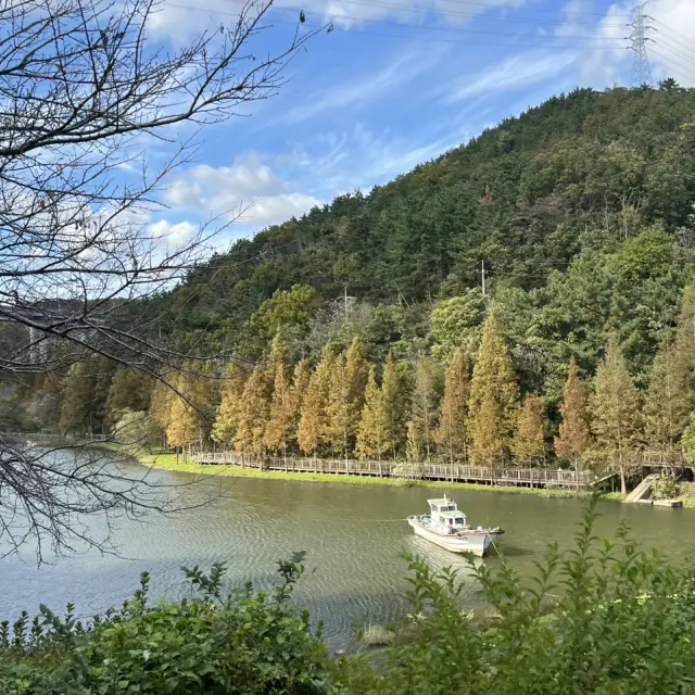 용소웰빙공원 티켓 할인, 운영 시간, 후기 [2025년] | Trip.com