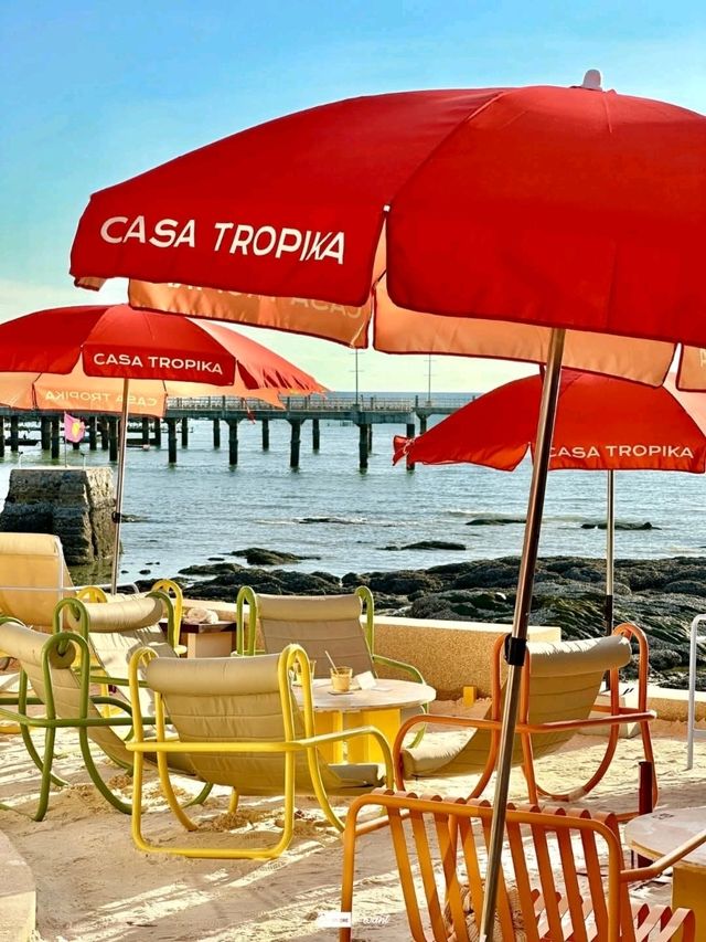 Casa Tropika 🌴🍋✨🌹📍