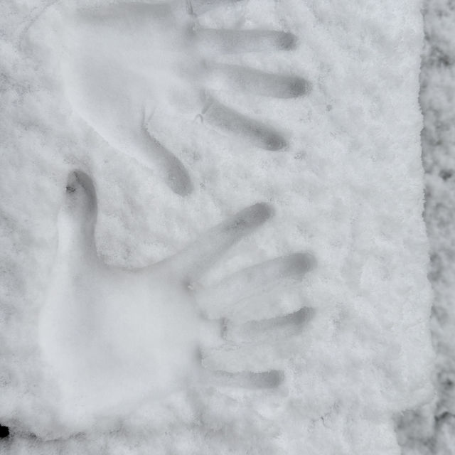 冬日夢幻體驗❄️｜在長野·飯山雪屋裡吃火鍋，超Chill！