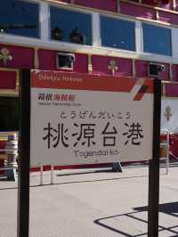 箱根海賊船，東京唯一的海賊船！🇯🇵 超級出片！😍