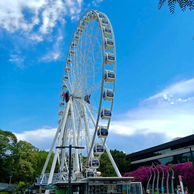 The Wheel of Brisbane