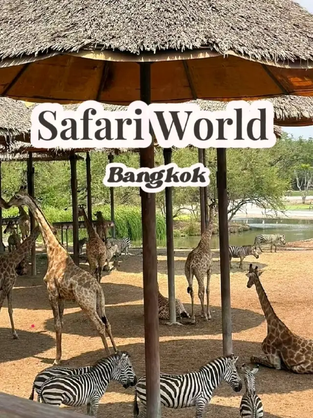 造訪 Safari World，我兒時的動物園