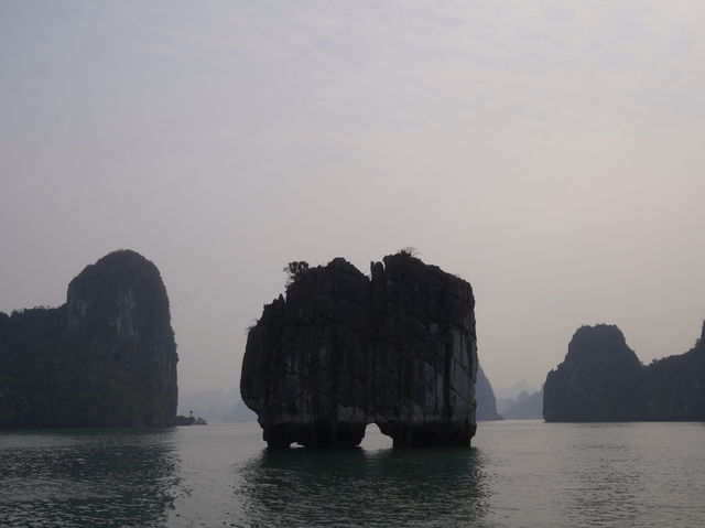 A Perfect Day Trip to Ha Long Bay – Nature’s Masterpiece! ⛵🌊