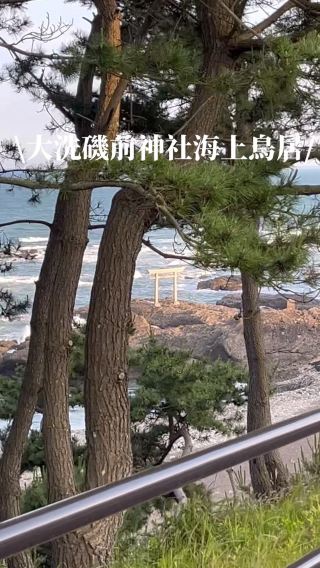 東京獨旅日記\DAY3(下）心得攻略分享/