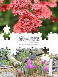 一覽美麗鮮花💐就在Osaka