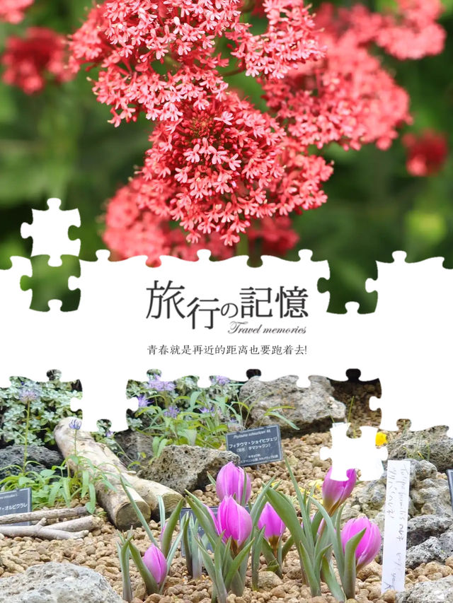 一覽美麗鮮花💐就在Osaka
