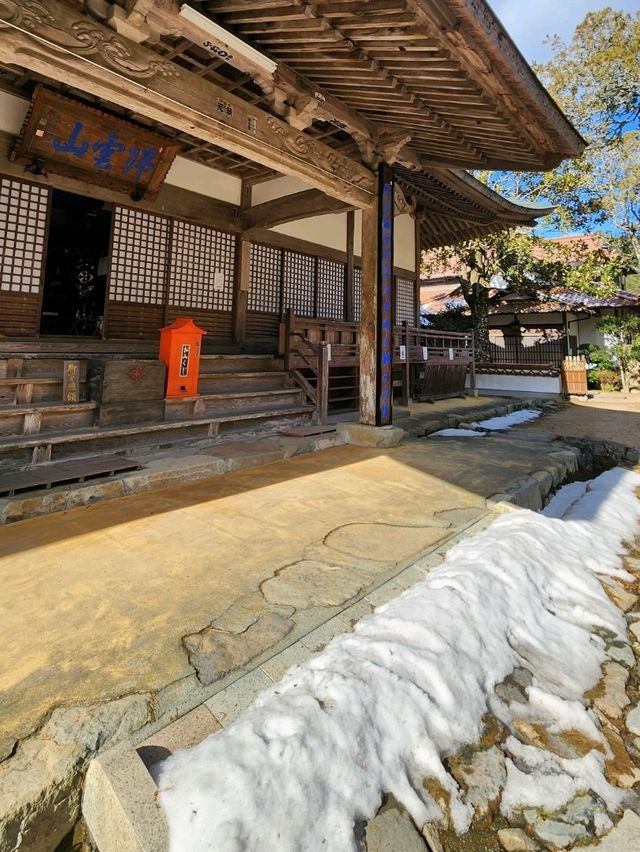 【山口グルメ】長門・蒼と芋と。