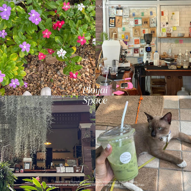 13 ที่เที่ยว #กำแพงแสน #นครปฐม 🚲🤍🌸