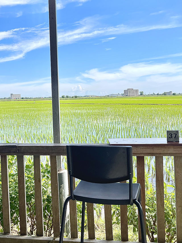 Weekend getaway to Sekinchan - Hay! Cafe