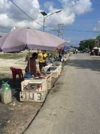 Tambolaka’s Fish Street: A Morning of Fresh Catch and Conversation 