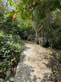 Walking Through Forest and Shore at Waikuri Beach