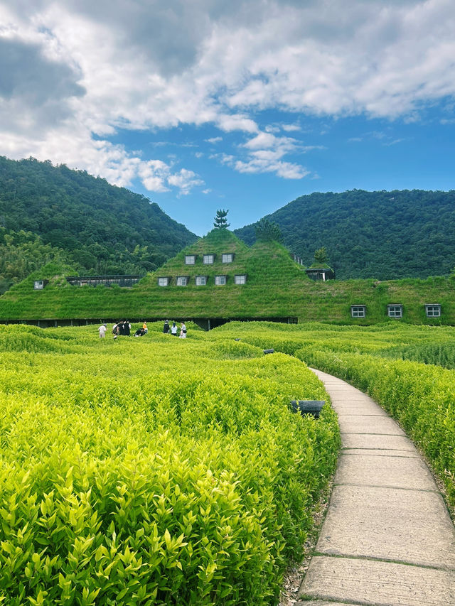 まるで絵本の世界！自然とスイーツの楽園🍃🍰