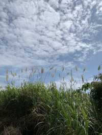 香港好去處#新手行山#輕鬆郊遊-鶴咀秘景