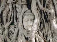 เที่ยวโบราณสถาน วัดมหาธาตุ พระนครศรีอยุธยา