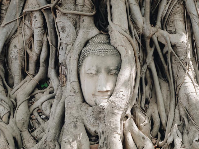 เที่ยวโบราณสถาน วัดมหาธาตุ พระนครศรีอยุธยา