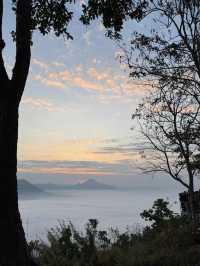 ทะเลหมอกภูทอก เชียงคาน – ฟีลดีมาก มาแล้วจะหลงรัก